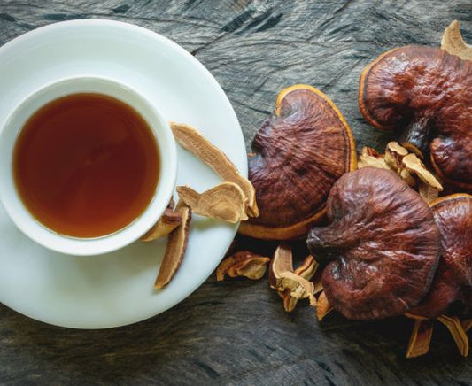 The Ultimate Guide To Reishi